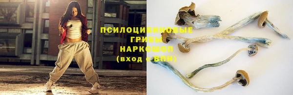 спиды Билибино