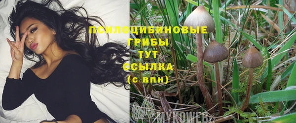спайс Абинск