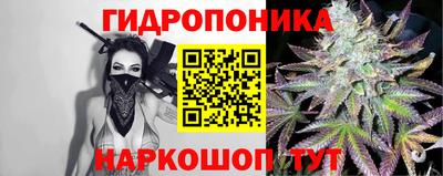 таблы Гусев