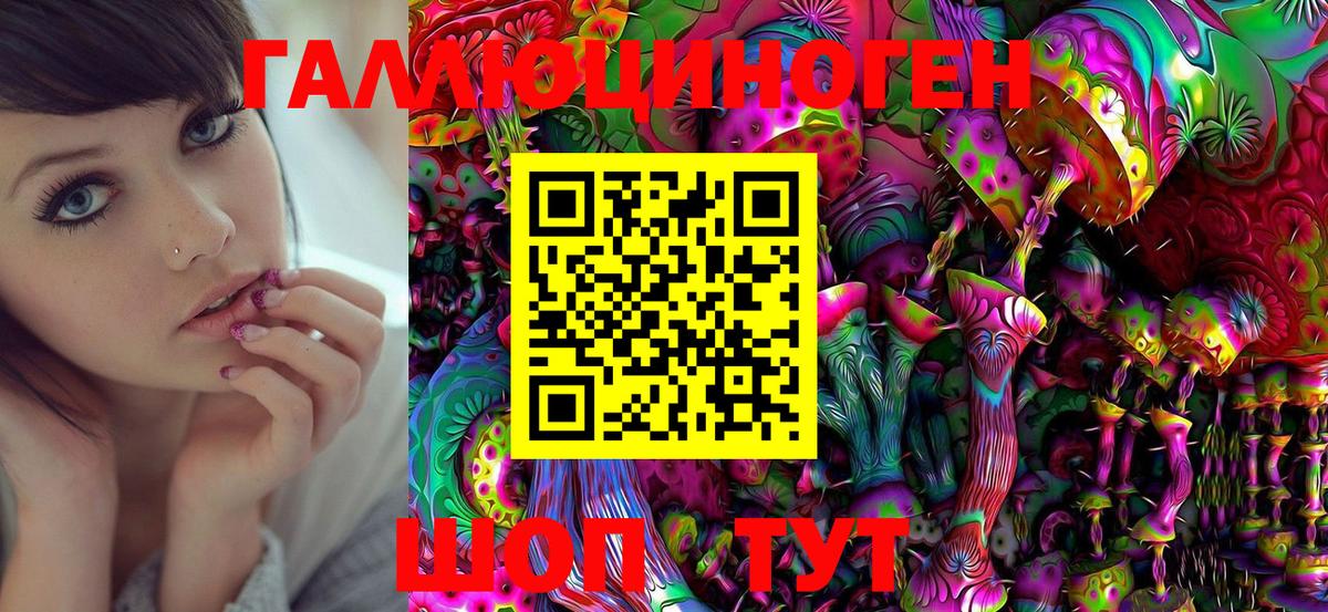 Псилоцибиновые грибы Cubensis  Вход с VPN  Галлюциногенные грибы Cubensis  Ирбит 